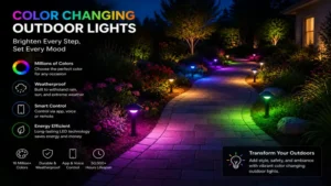 Beautiful garden walkway enhanced with color changing outdoor lights for safety and ambiance at night
