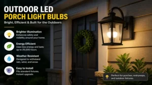 outdoor led porch light bulbs installed beside a front door entrance