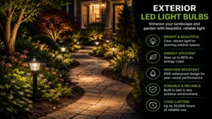 Exterior led light bulbs enhancing landscape and garden pathway lighting at night
