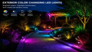 Garden landscape illuminated by exterior color changing led lights highlighting plants and pathways.