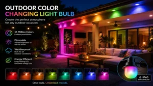 Outdoor color changing light bulb creating colorful ambient lighting for a backyard patio.