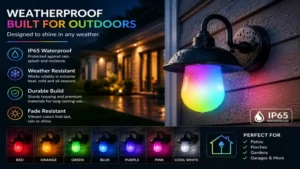 Outdoor color changing light bulb installed in a weatherproof exterior wall fixture.