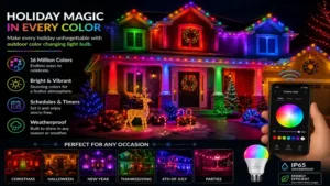 Outdoor color changing light bulb displaying festive colors for holiday landscape decorations.